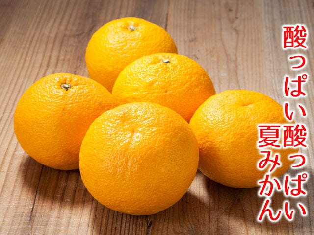 夏みかん（江戸浪漫：A級品）(送料無料)5-9月はｸｰﾙ便+200円