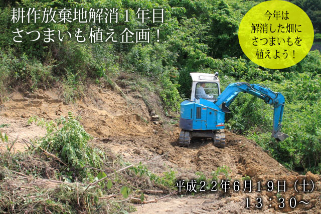 今後の予定