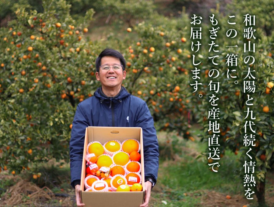 【フルーツギフト】【フルーツ詰め合わせ】オススメ！お得！旬フルーツ詰め合わせ(送料無料!) 4-9月はｸｰﾙ便+200円