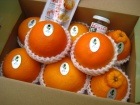 オレンジデー用(観音山ニコニコセット)