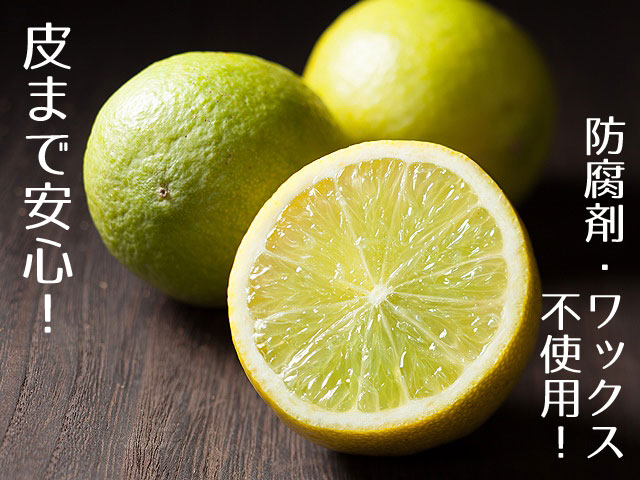 観音山ライム（ジンの恋人）送料無料！