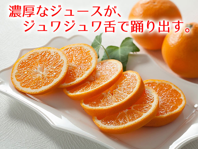 �Ѳ������ꤢ������Ͽʿ����ǯ��AB����