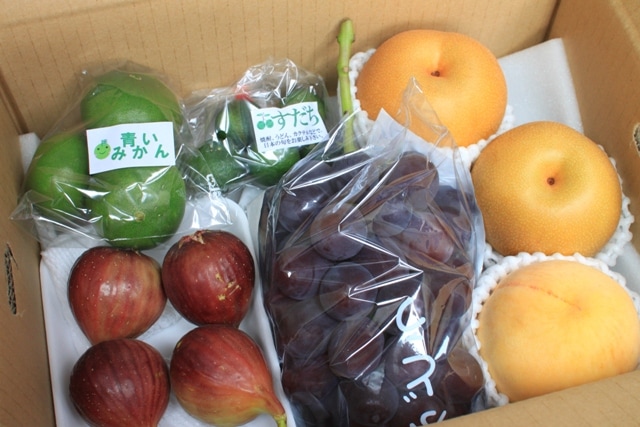 和歌山県耕作放棄地解消プロジェクト(フルーツ頒布会)(送料無料)