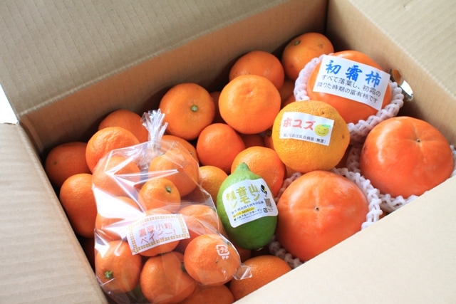 和歌山県耕作放棄地解消プロジェクト(フルーツ頒布会)(送料無料)