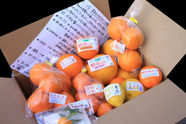 和歌山県耕作放棄地解消プロジェクト(フルーツ頒布会)(送料無料)