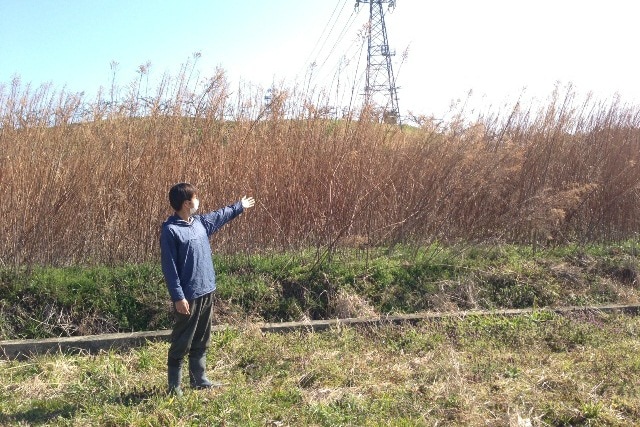 和歌山県耕作放棄地解消プロジェクト(フルーツ頒布会)(送料無料)