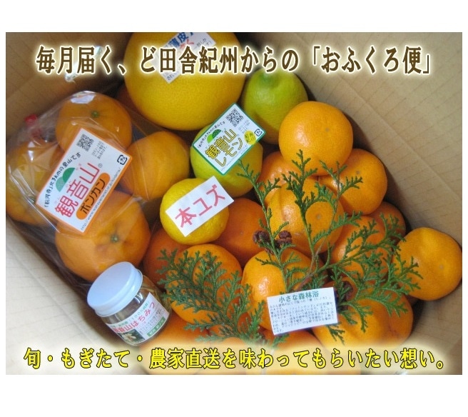 和歌山県耕作放棄地解消プロジェクト(フルーツ頒布会)(送料無料)