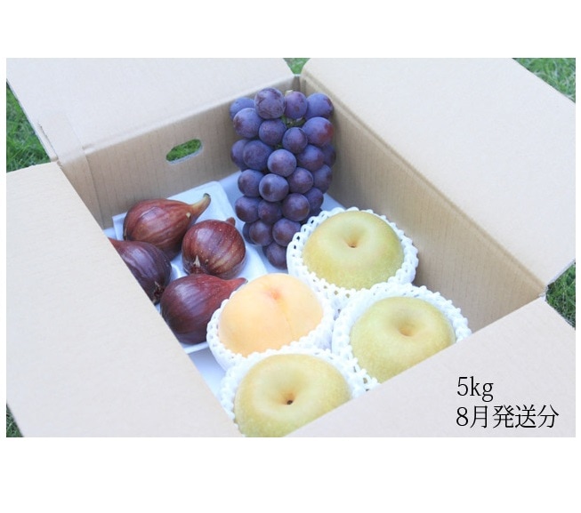和歌山県耕作放棄地解消プロジェクト(フルーツ頒布会)(送料無料)