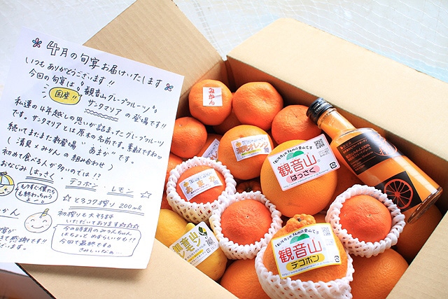 和歌山県耕作放棄地解消プロジェクト(フルーツ頒布会)(送料無料)