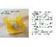 橘（たちばな）非時香果|橘（たちばな）