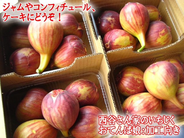 豊熟いちじく訳あり（おてんば娘：Ｂ級品）送料無料