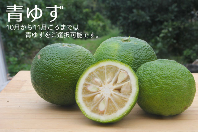 観音山ゆず（訳ありＢ級：やんちゃ坊主）(送料無料！)1kg～10kg