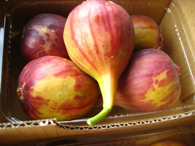 イチジク イチジク直送 観音山フルーツガーデンのイチジク