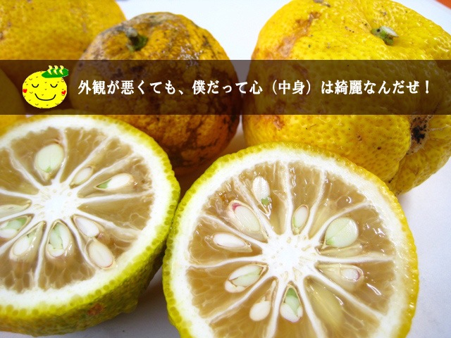 観音山ゆず（訳ありＢ級：やんちゃ坊主）(送料無料！)1kg～10kg