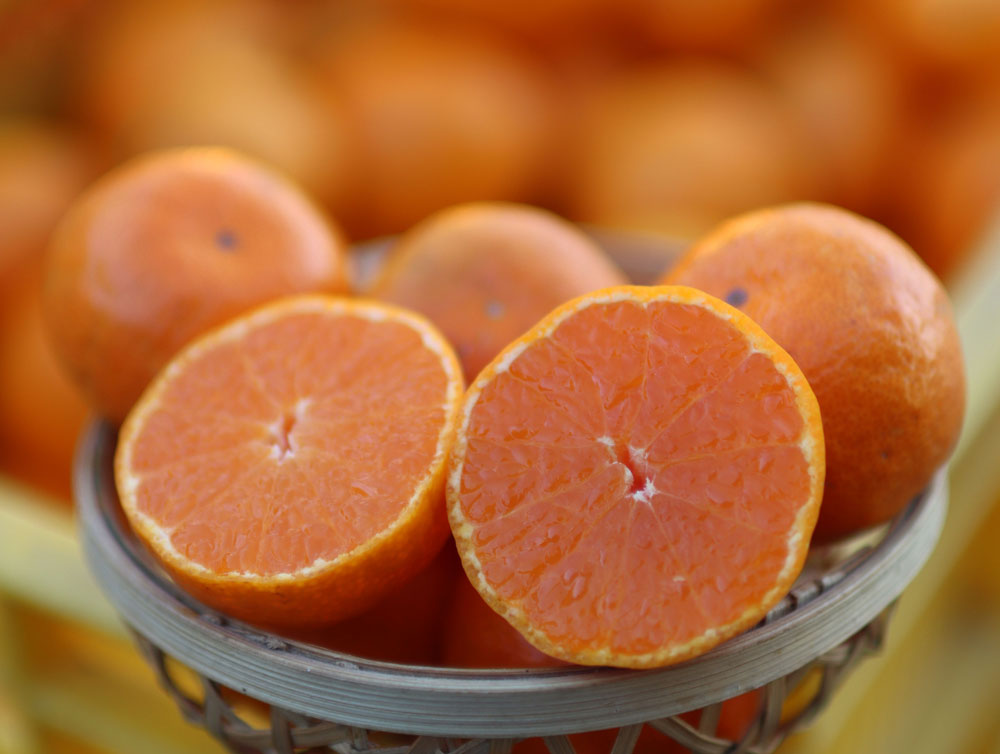 【フルーツギフト】１番人気！とろコクみかん（甘姫小町）送料無料！　2kg～5kg