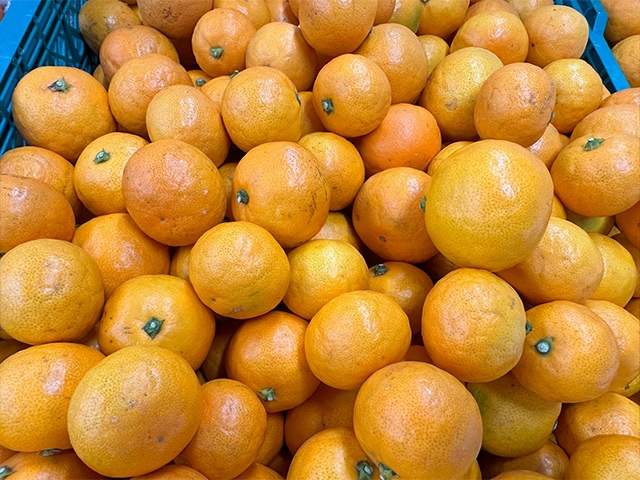 2番人気!濃厚小粒ベイビーみかん AB混合(送料無料!)和歌山県産農家直送! 1kg~10kg