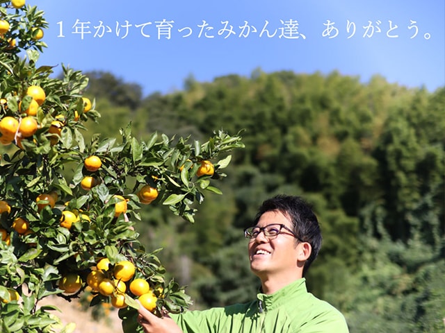 2番人気!濃厚小粒ベイビーみかん AB混合(送料無料!)和歌山県産農家直送! 1kg~10kg