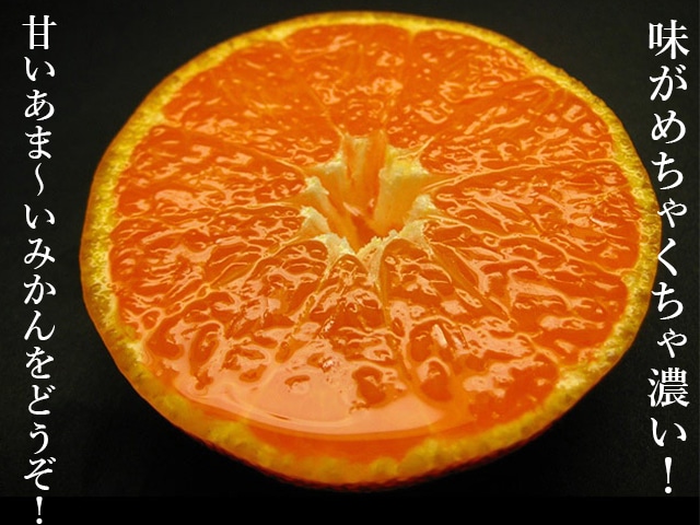 2番人気!濃厚小粒ベイビーみかん AB混合(送料無料!)和歌山県産農家直送! 1kg~10kg