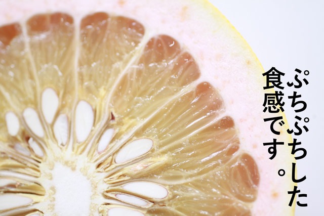 チャンドラポメロ(AB混合)-4-6月はクール便+200円