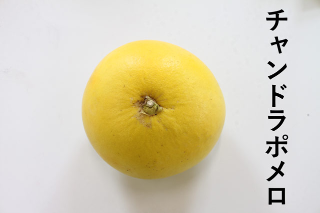 チャンドラポメロ(AB混合)-4-6月はクール便+200円