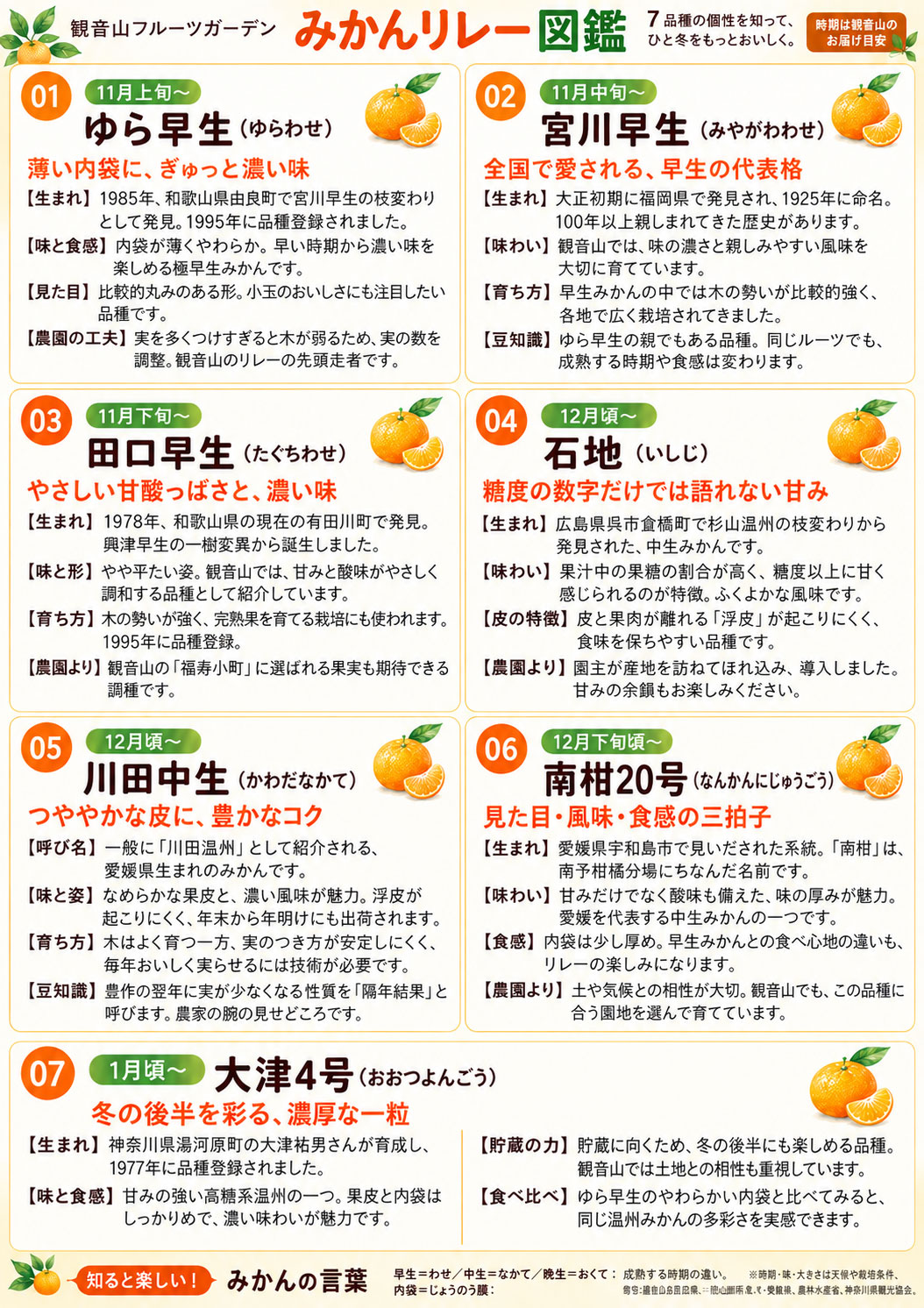 温州みかん主要品種食べつくしリレー(送料無料)