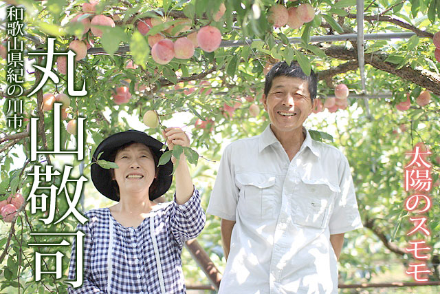 紀ノ川スモモ「太陽のスモモ」