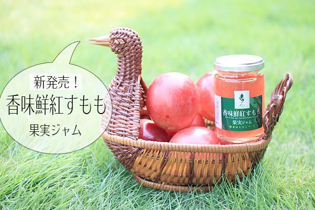 香味鮮紅すもも果肉ジャム