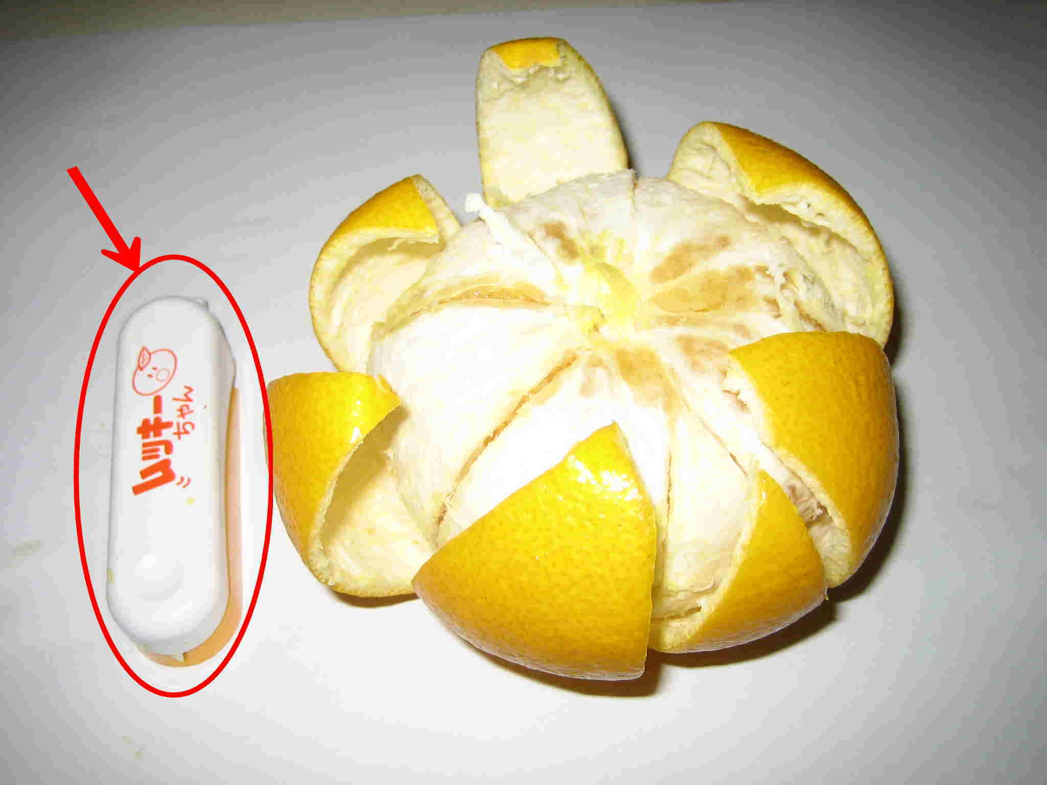 ムッキーちゃん