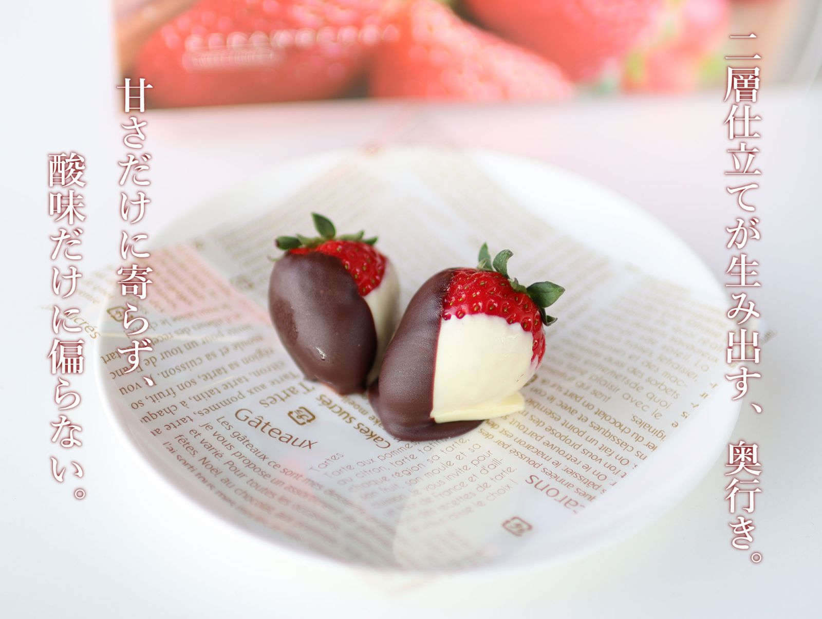 観音山いちご チョコレート二層仕立て ９粒＜ギフト箱入り＞