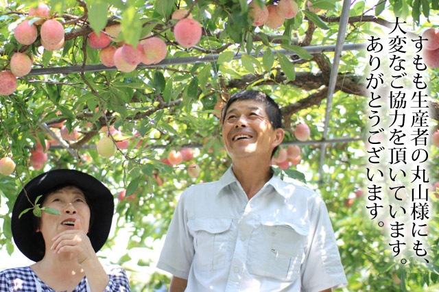 香味鮮紅すもも果肉ジャム