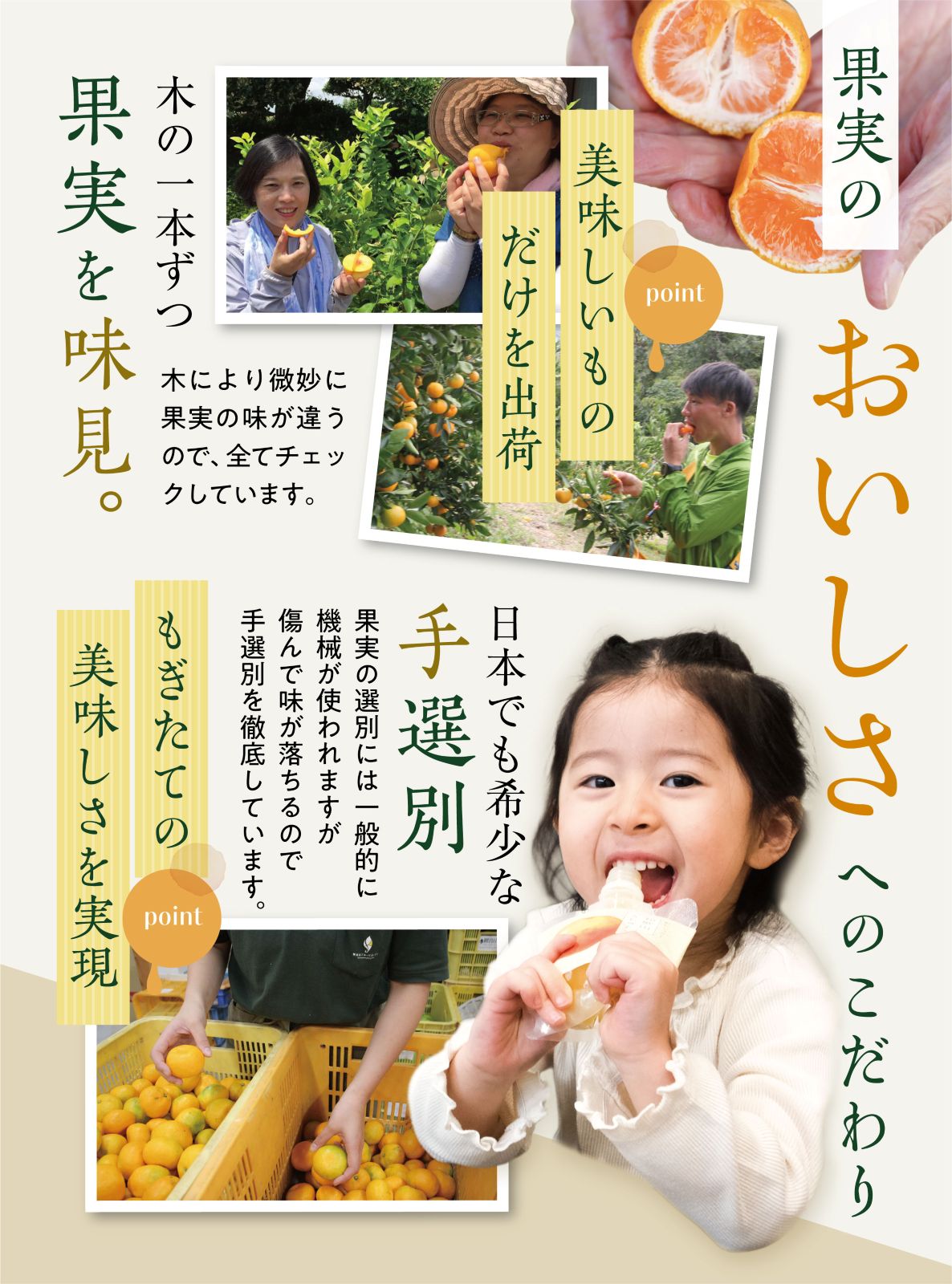 【フルーツギフト】飲むジェリー「和歌山なちゅるん」みかん・はっさく・蜂蜜レモン・桃・梅・ゆず蜂蜜