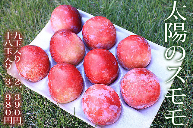 紀ノ川スモモ「太陽のスモモ」