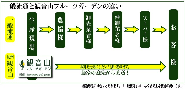 観音山八朔（初咲く：合格祈願！）