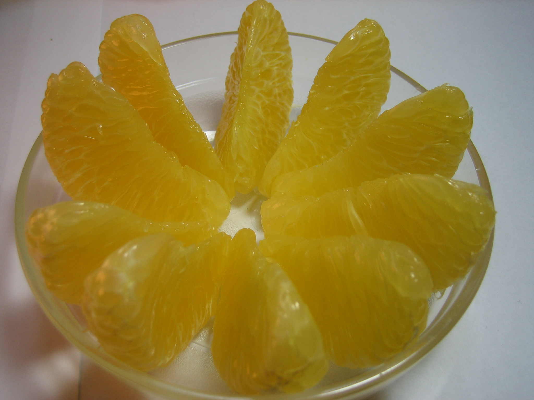 ムッキーちゃん