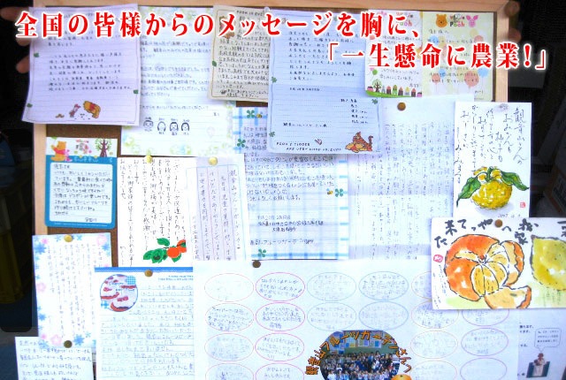 観音山八朔（初咲く：合格祈願！）