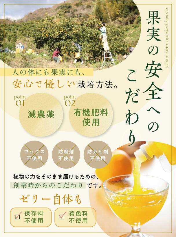 観音山ジェリー９個（みかん・もも・はっさく・うめ各２個、レモン１個）(送料無料)