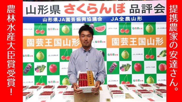 2017年農林水産大臣賞受賞!山形直送さくらんぼ(送料無料!クール便+200円)