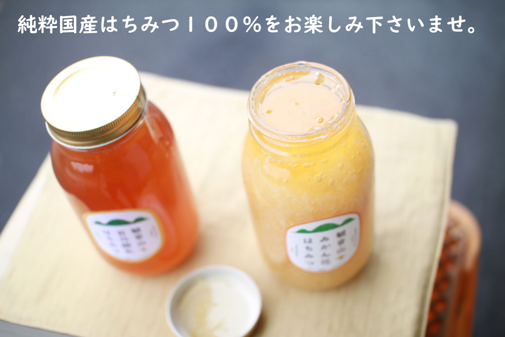 観音山はちみつアウトレット送料無料！（数量限定）最大２５％割引！お一人様２個まで！