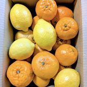 ��¾�ξ��ʤ�Ʊ�������Բġۥݥ󥫥󡦥��󥻥å�