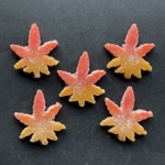 州浜・紅葉・5個入