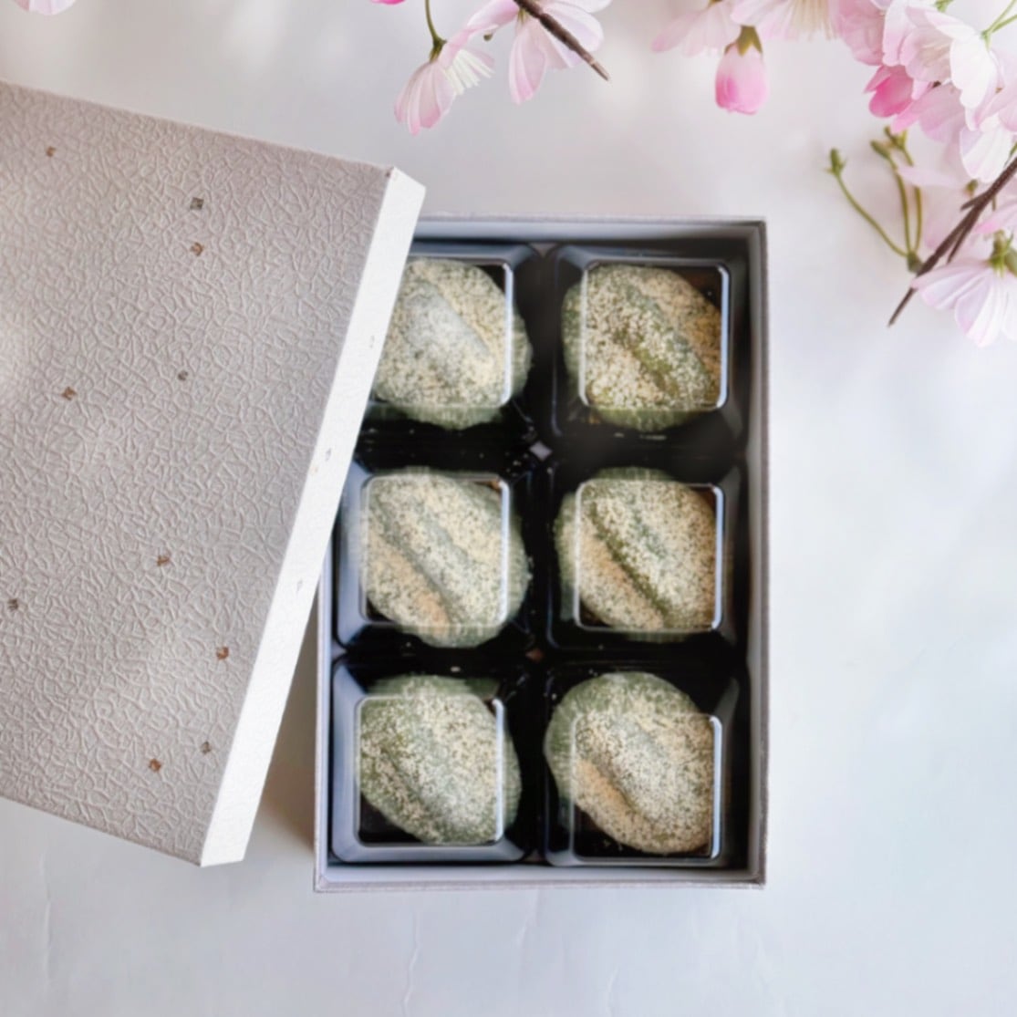 よもぎ餅（６個入り）・化粧箱