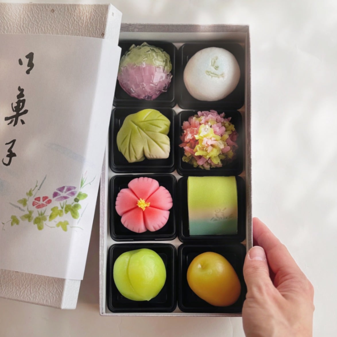 6月の上生菓子8個（化粧箱入）