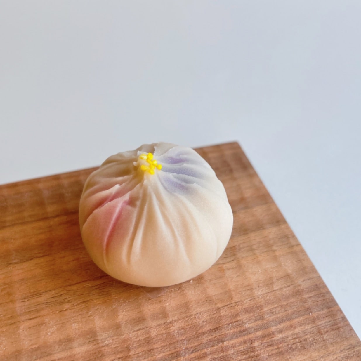 10・11月上生菓子「秋明菊」
