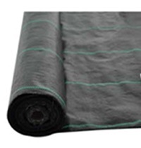 �����Υߡ����𥷡���2x50