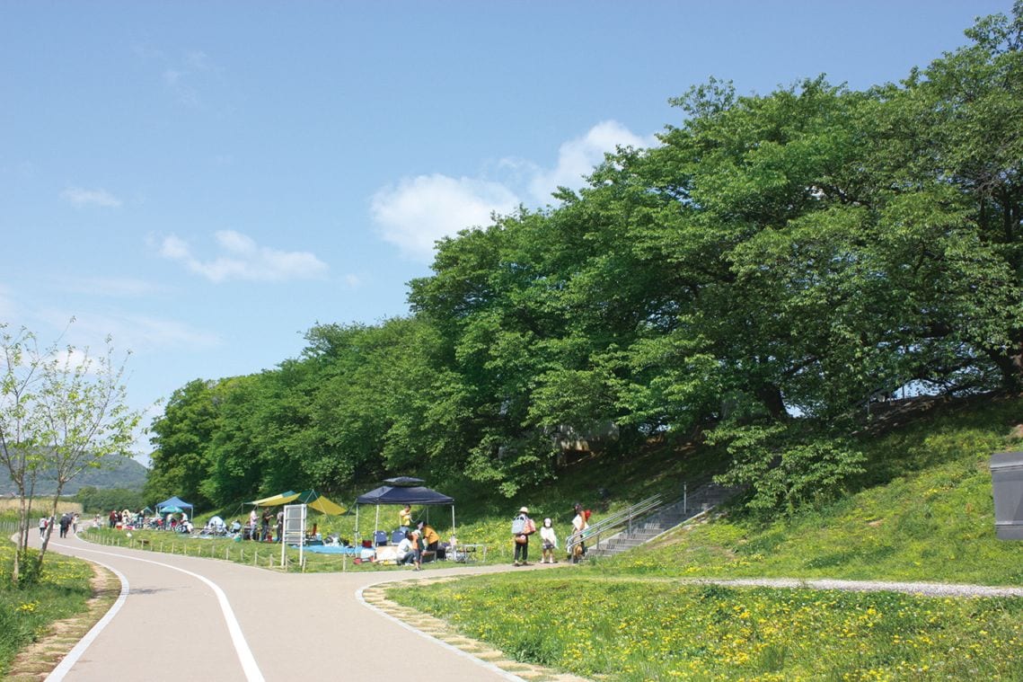 三川合流の地・淀川河川公園背割堤地区