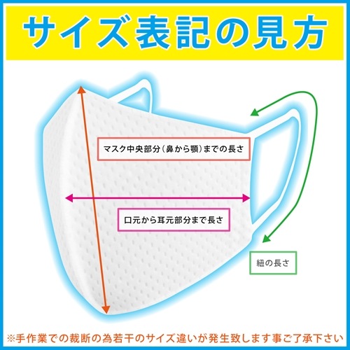 3枚以上で送料無料 会食用 耳ヒモ交換可能 速乾「洗えるマスク」 銀イオン配合くり返し洗って使える高耐久伸縮性　