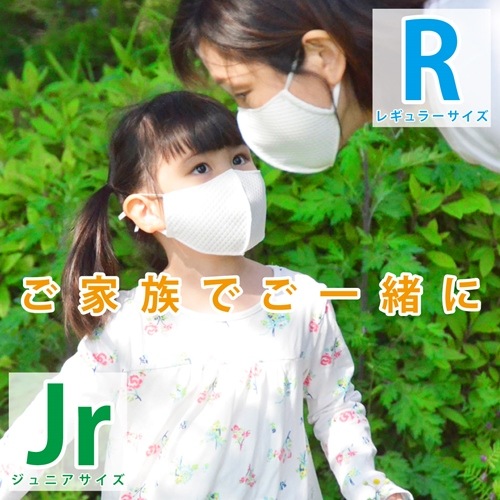 3枚以上で送料無料 会食用 耳ヒモ交換可能 速乾「洗えるマスク」 銀イオン配合くり返し洗って使える高耐久伸縮性　