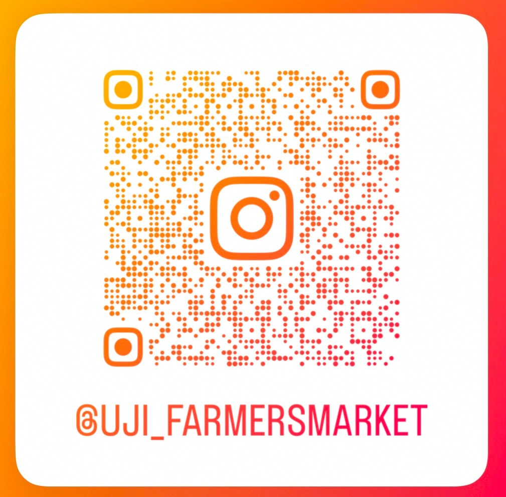 宇治・伏見・八幡・枚方 4エリアをつなぐ　宇治川（淀川）　Eボート川下り＆とっておき体験