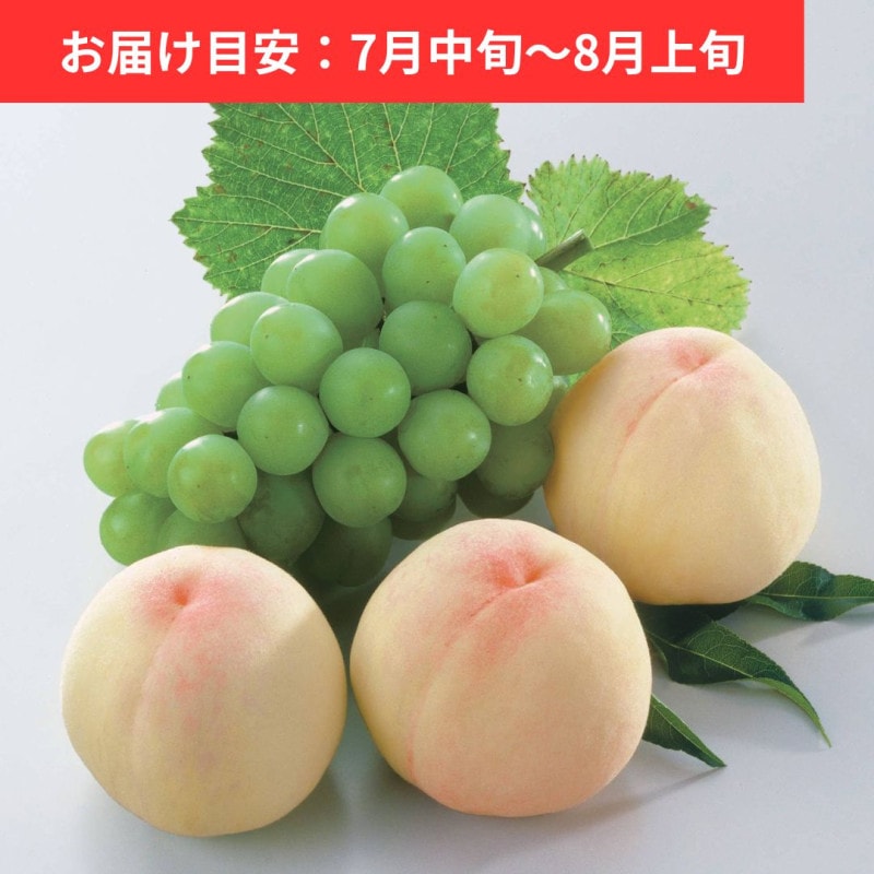 �������� 3�� (�� ��800g)���ޥ����åȥ��֥��쥭����ɥꥢ 1˼ (�� 600g)