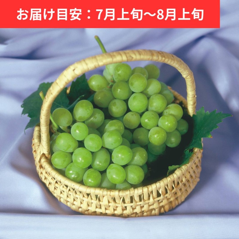 �������� �ޥ����åȥ��֥��쥭����ɥꥢ 2˼ (��1.2kg)
